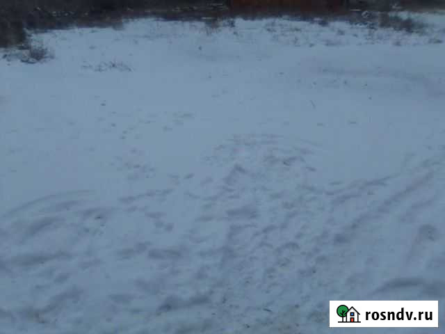 Снег Астрахань - изображение 1