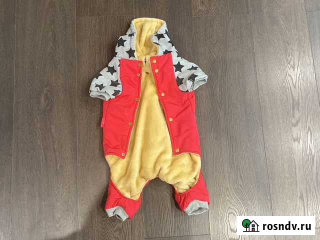 Продам комбинезон зимний для собак Мытищи - изображение 1