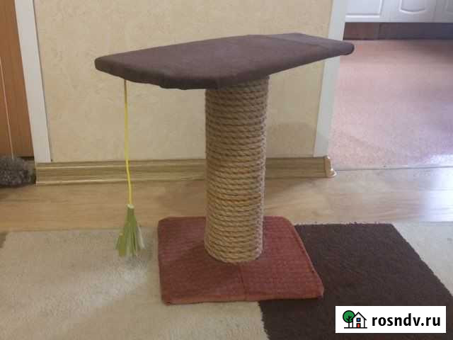 Когтеточка Ижевск - изображение 1