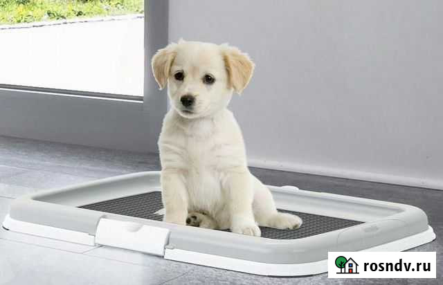 Туалет для cобак Stefanplast Аннино - изображение 1