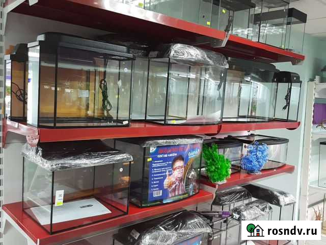 Аквариум 10л-150л Новосибирск - изображение 1