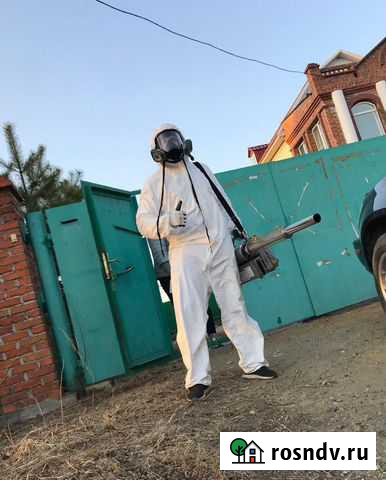 Уничтожение Тараканов, клещей Благовещенск - изображение 1