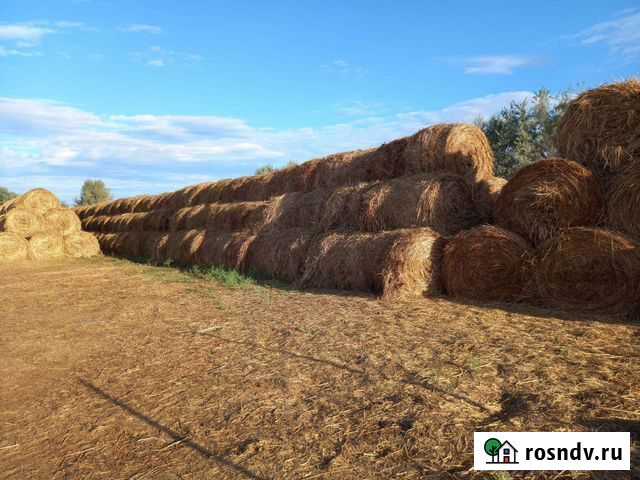Сено в рулонах Оранжереи - изображение 1