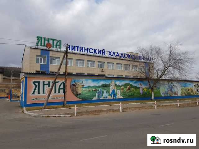 Мясо блочное (свинина) в Чите, Окорок и др Чита - изображение 1