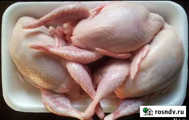 Перепела- тушки- мясо Ростов-на-Дону - изображение 1