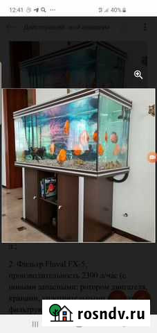 Действующий видовый дискусовый аквариум Иркутск - изображение 1