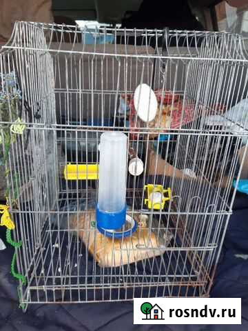 Клетка для попугая Благовещенск - изображение 1
