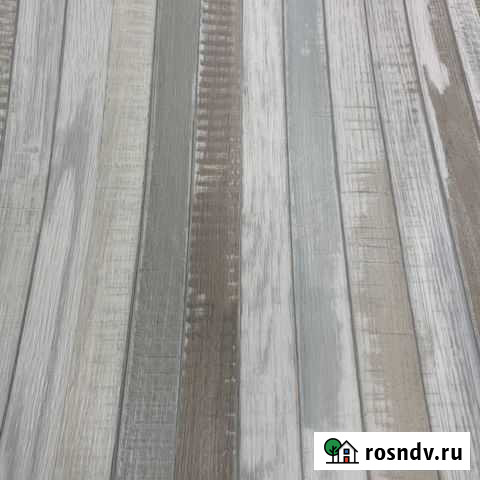 Линолеум бытовой Tarkett Discovery Wasabi 1 Москва - изображение 1