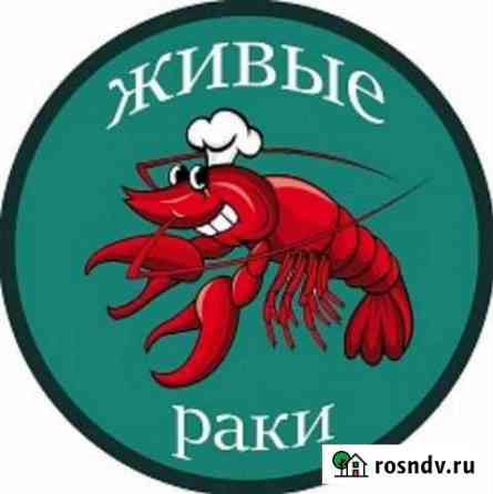 Раки живые и вареные.опт и розница Доставка раков Сочи