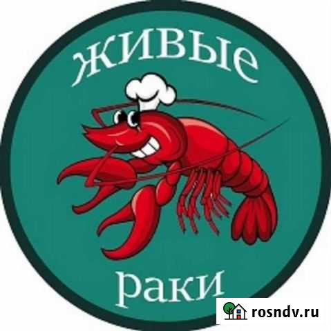 Раки живые и вареные.опт и розница Доставка раков Сочи - изображение 1