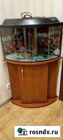 Аквариум с тумбой Калининград - изображение 1