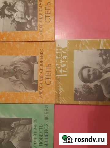 Роман газета Разумное - изображение 1