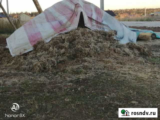 Мох (межвенцовый природный утеплитель) Ижевск - изображение 1