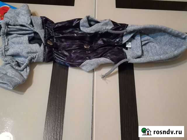 Одежда для маленькой собаки Москва - изображение 1