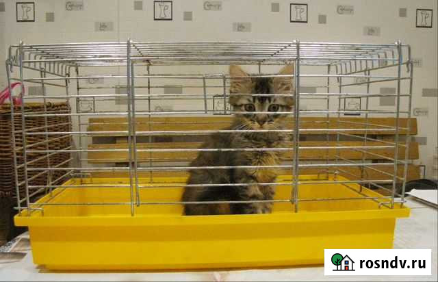 Клетка Брянск - изображение 1