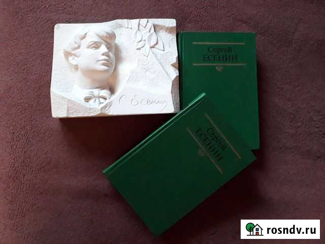 Горельеф поэта Сергея Есенина (изменено 26.10) Омск - изображение 1