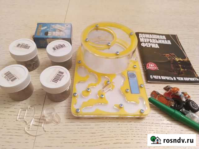 Муравьиная ферма без муравьев Москва - изображение 1