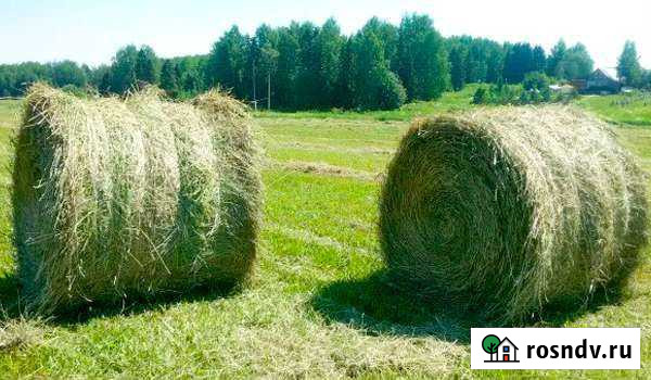 Сено в рулонах Шумиха - изображение 1