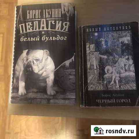 Акунин Б. Пелагея и белый бульдог. Черный город Бийск