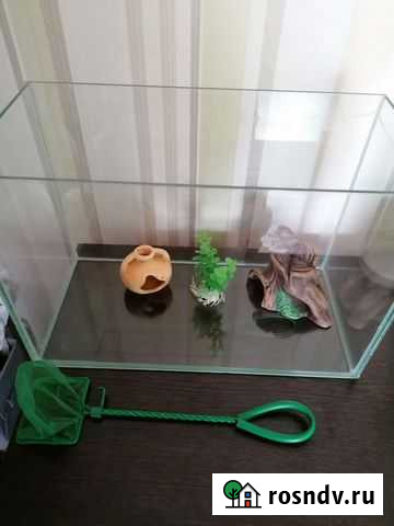 Продам аквариум с декоративными элементами Петрозаводск - изображение 1