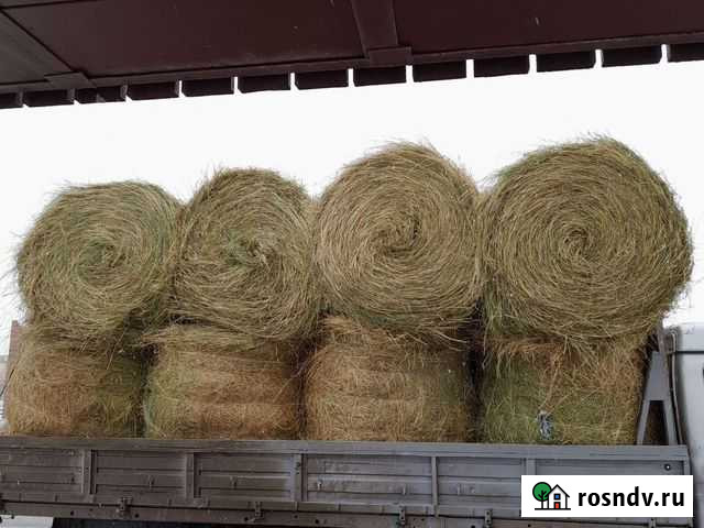 Продам сено в рулонах Нальчик - изображение 1