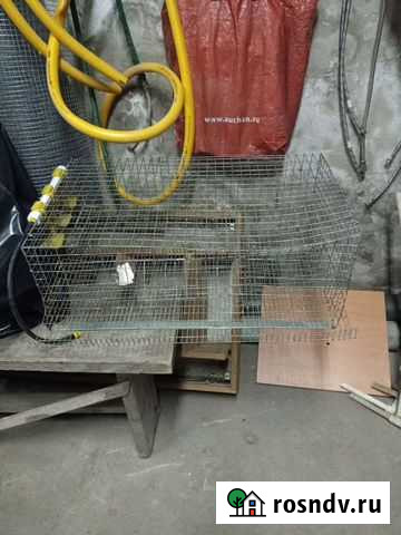 Клетки металлические Подольск - изображение 1