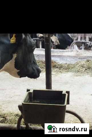 Поилка для крс Ирбит - изображение 1