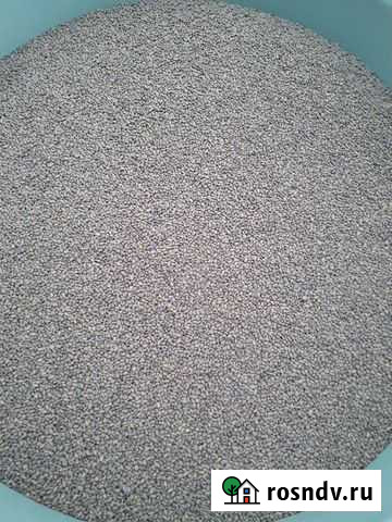 Семена люцерны Ленинградская - изображение 1