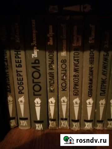 Книги из серии жзл Омск - изображение 1