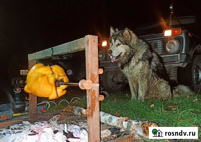 Вертел с электроприводом самодельный. Барбекю Кемерово - изображение 1