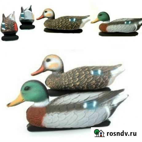 Чучёла уток “Кряква” к-т 6 шт Екатеринбург - изображение 1