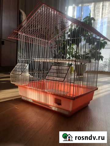 Клетка Свободный - изображение 1