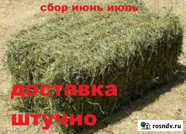 Сено в тюках Белогорск - изображение 1