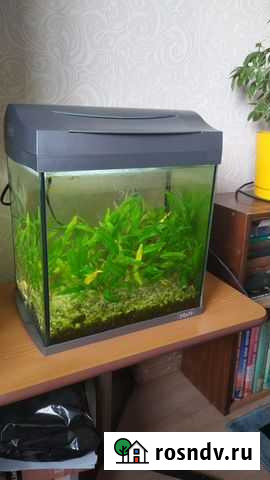 Аквариум tetra 25 литров Москва - изображение 1