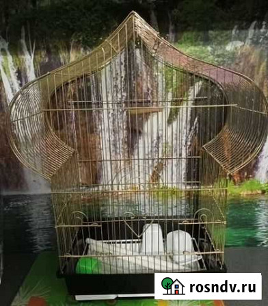 Клетка для попугая Брянск - изображение 1