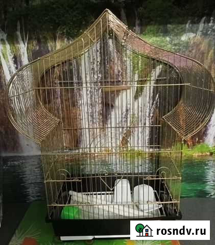 Клетка для попугая Брянск - изображение 1