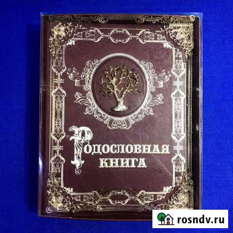 Родословная книга Мой род - мое древо жизни Санкт-Петербург - изображение 1