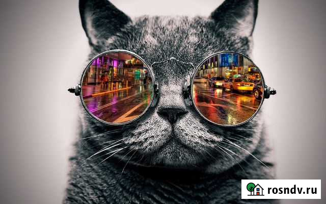 Репетитор по Математике и Информатике.огэ&егэ Петропавловск-Камчатский - изображение 1