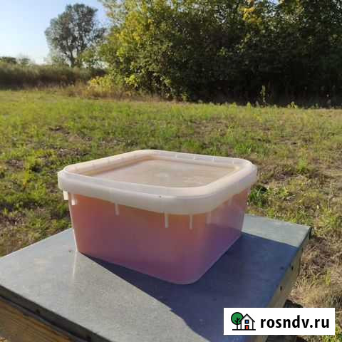 Мед оптом Москва - изображение 1