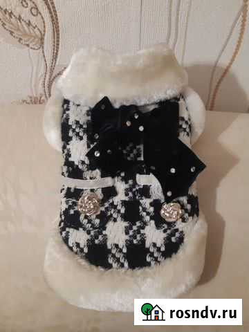 Одежда для животных Омск - изображение 1