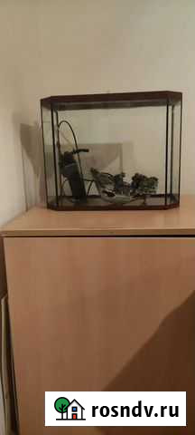 Аквариум Казань - изображение 1