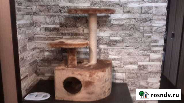 Домик для кошки с когтеточкой новый Воронеж - изображение 1