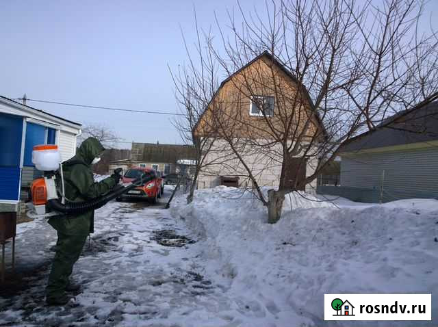 Обработка садов от болезней и вредителей Липецк - изображение 1