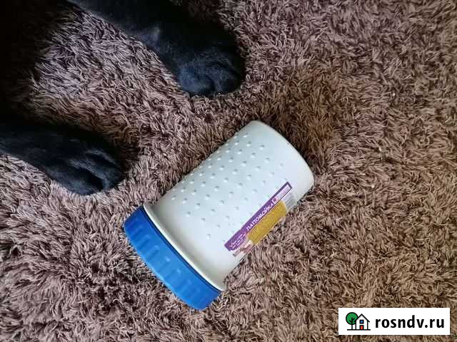 Лапомойка для собак Самара - изображение 1