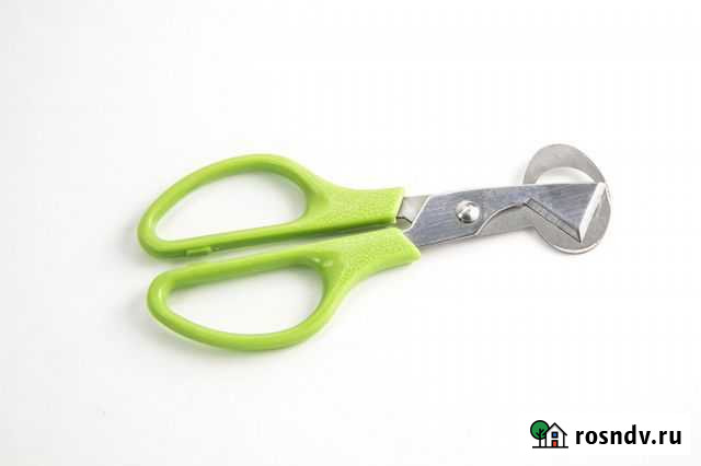 Ножницы для перепелиных яиц Владимир - изображение 1