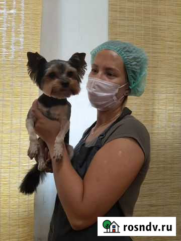 Груминг, уз чистка (синие камни) Екатеринбург - изображение 1