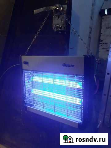 Мухобойка Артемовский - изображение 1