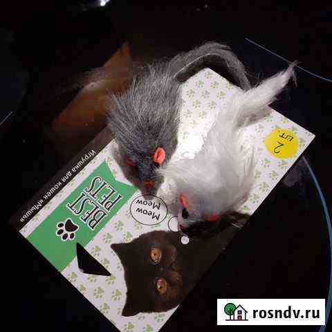 Игрушка для кошек Москва