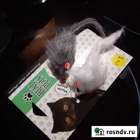 Игрушка для кошек Москва - изображение 1