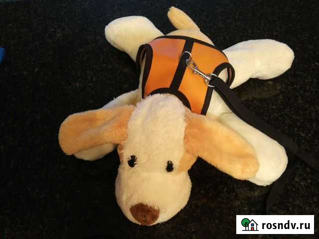 Шлейка и поводок для кошек и собак Казань - изображение 1